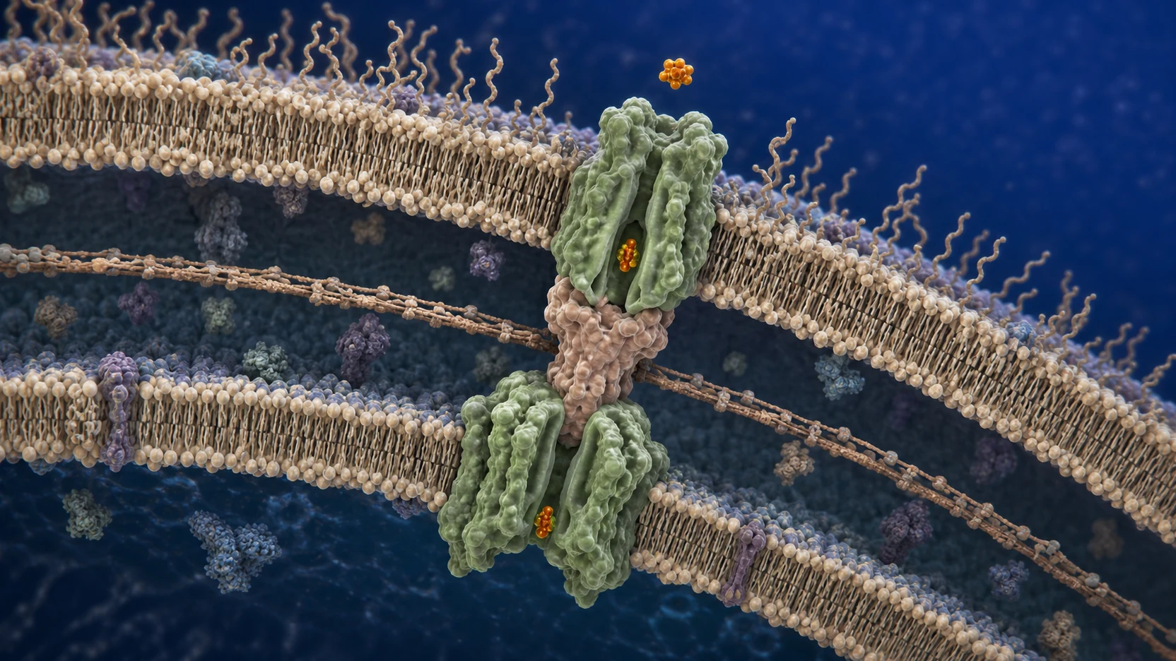 Featured illustration for How Antibiotic Resistance Works