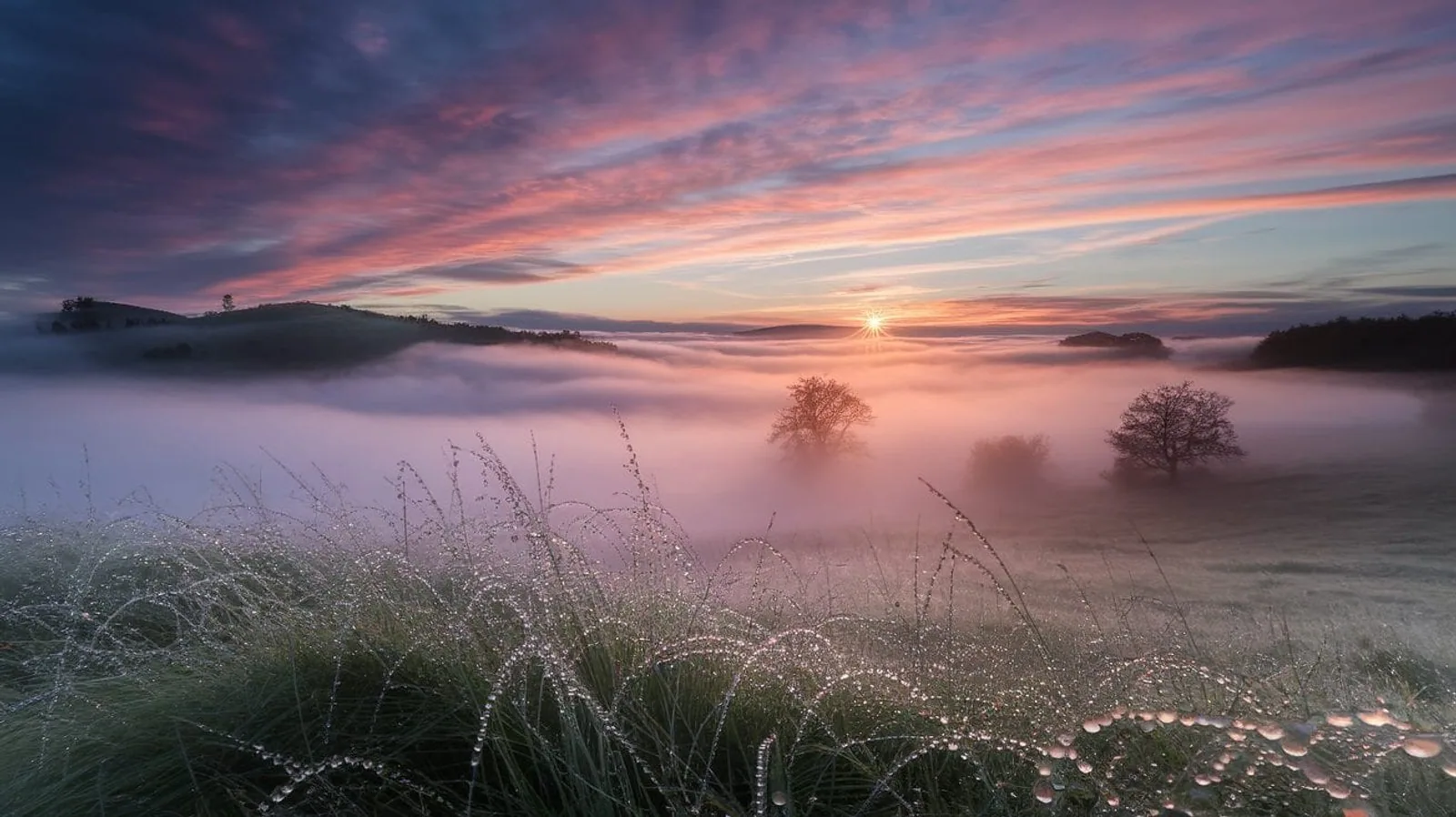 Featured illustration for How Fog Forms: Nature's Low-Level Cloud Unveiled